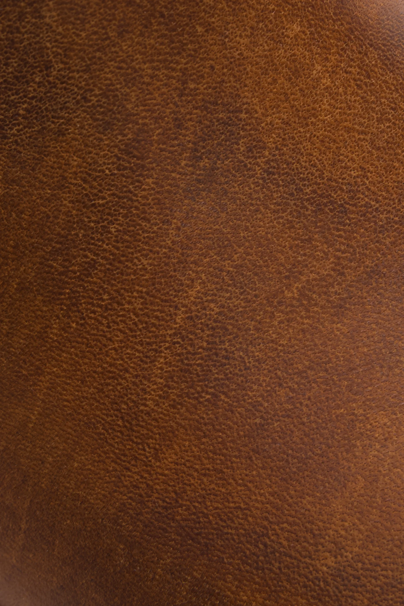 Harness 8R - Frye Found - Image 5