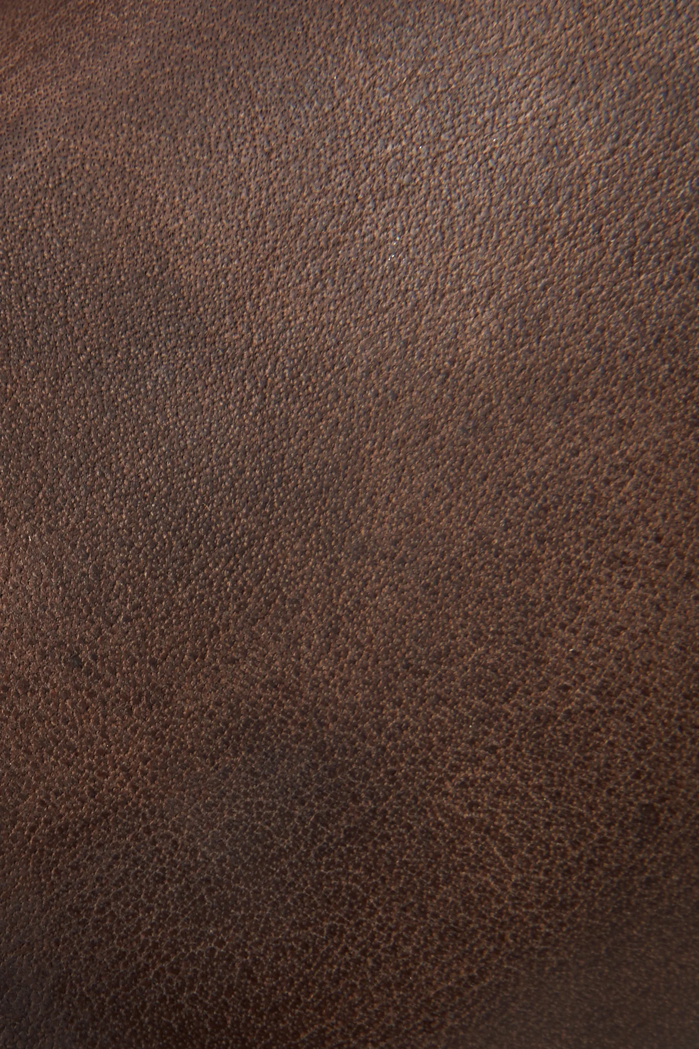 Melissa Belted Tall Wide Calf - Frye Found - Image 5