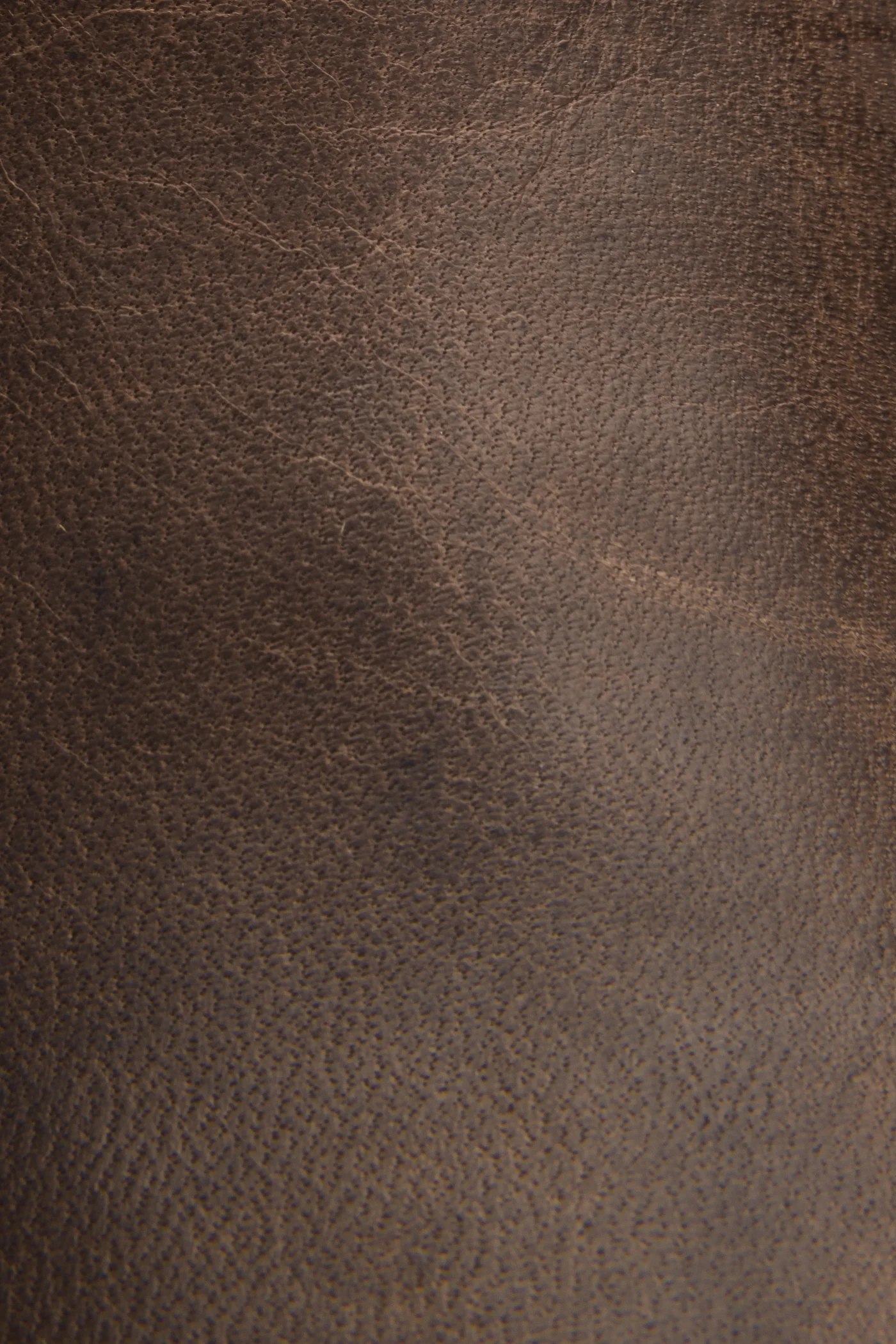 Melissa Chelsea - Frye Found - Image 5