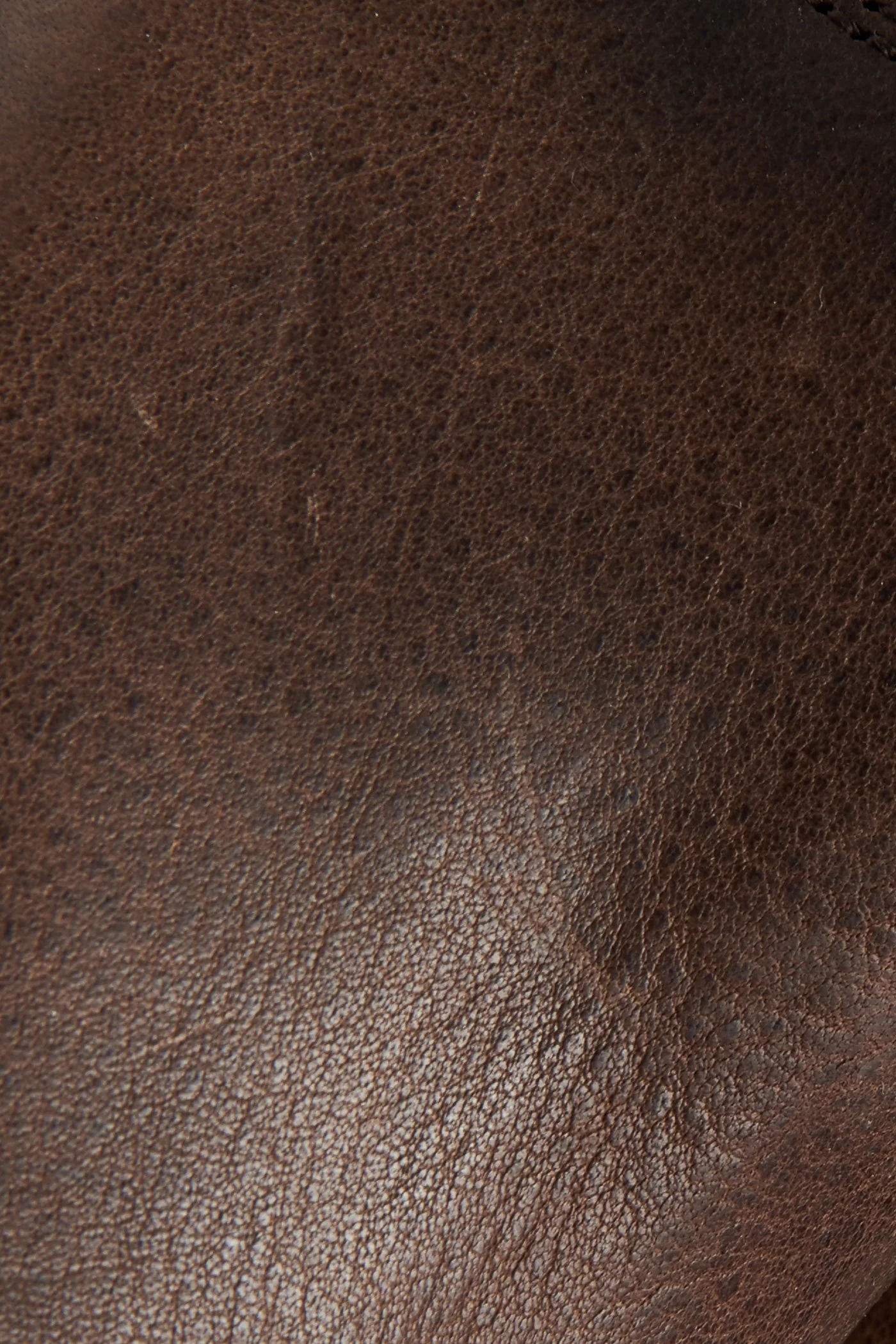 Veronica Bootie - Frye Found - Image 5