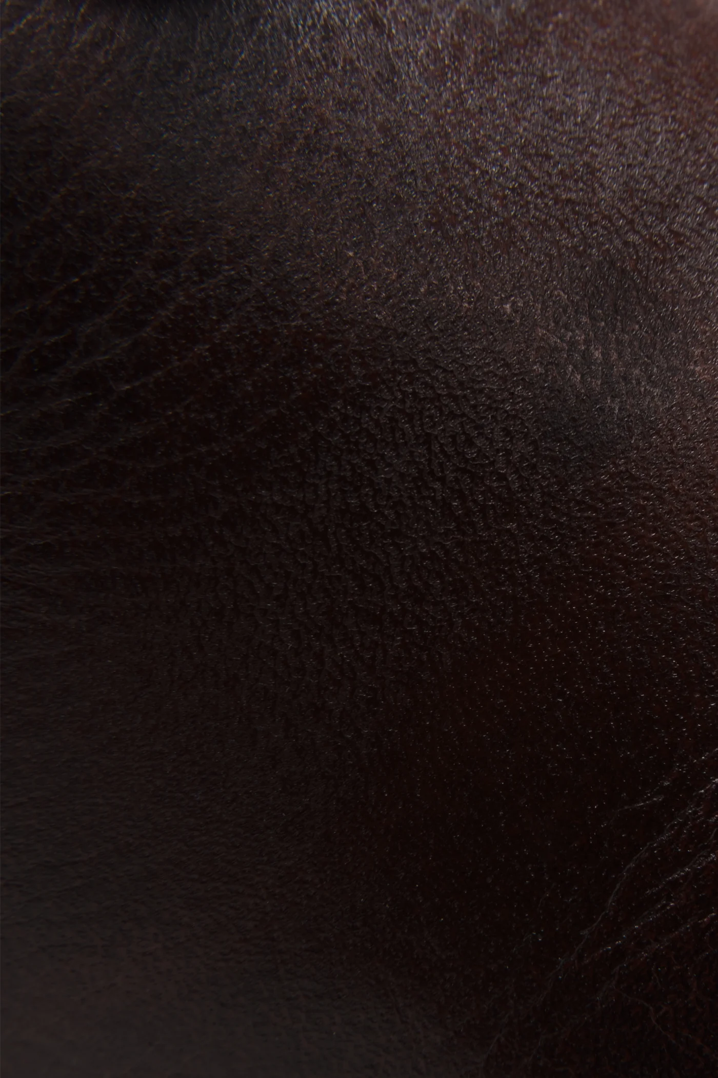 Veronica Combat - Frye Found - Image 5
